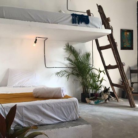 Black Jaguar Hostel 巴卡拉尔 外观 照片