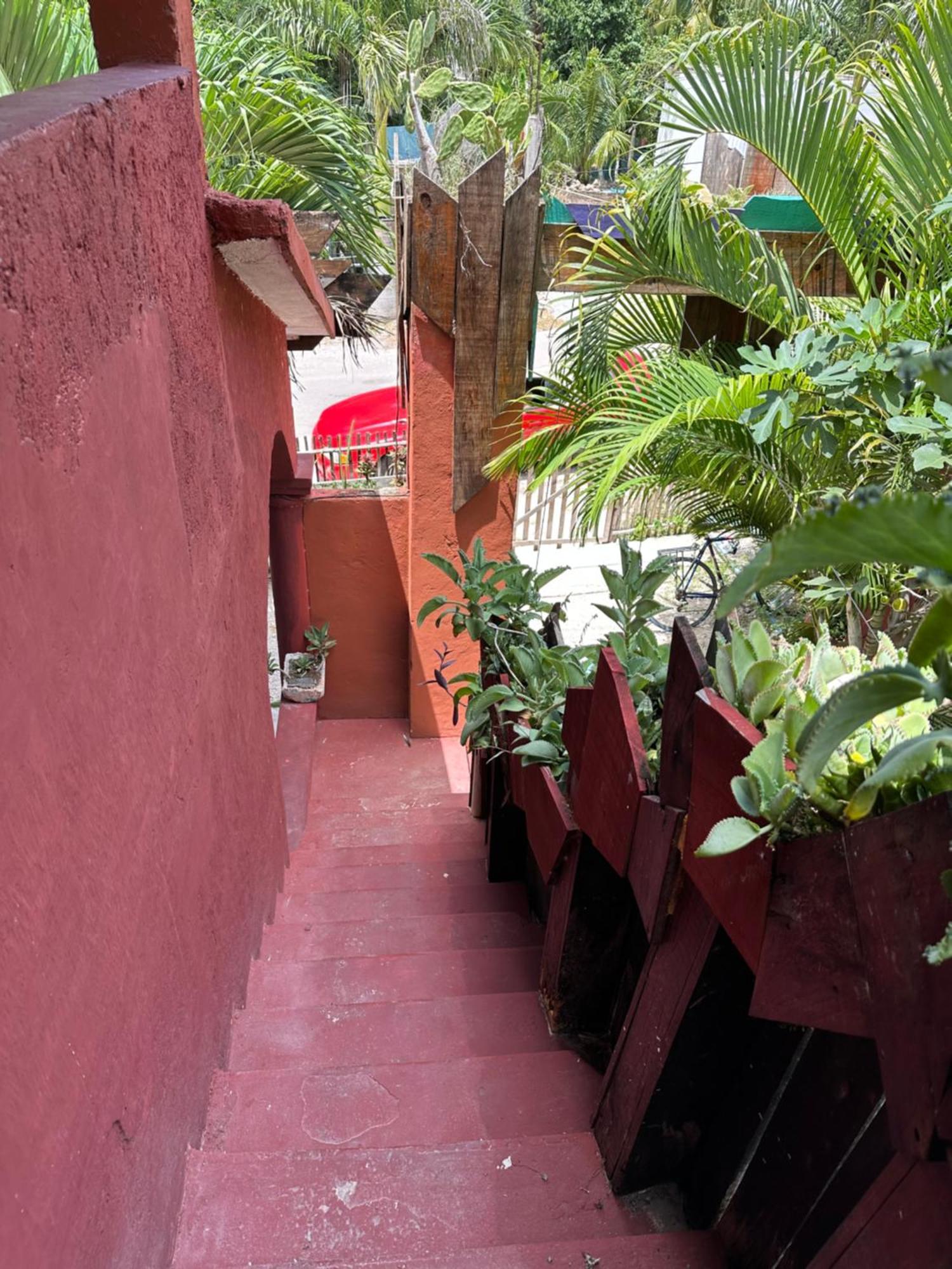 Black Jaguar Hostel 巴卡拉尔 外观 照片