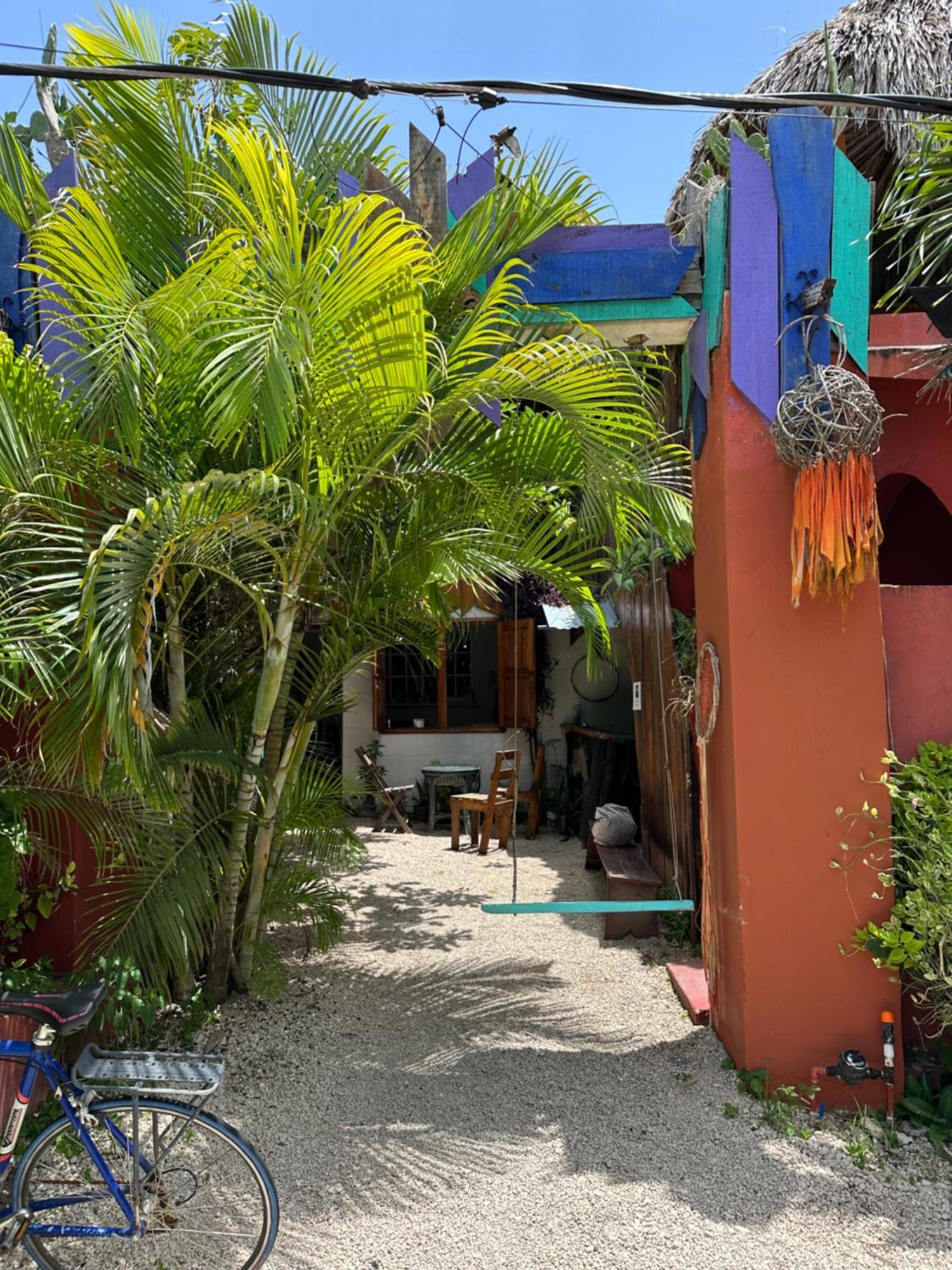 Black Jaguar Hostel 巴卡拉尔 外观 照片