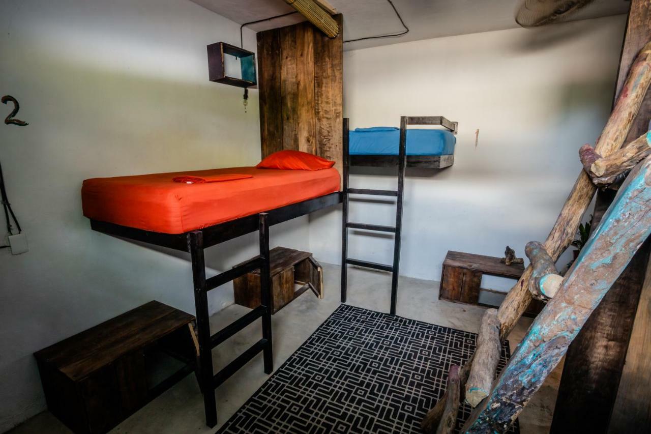 Black Jaguar Hostel 巴卡拉尔 外观 照片