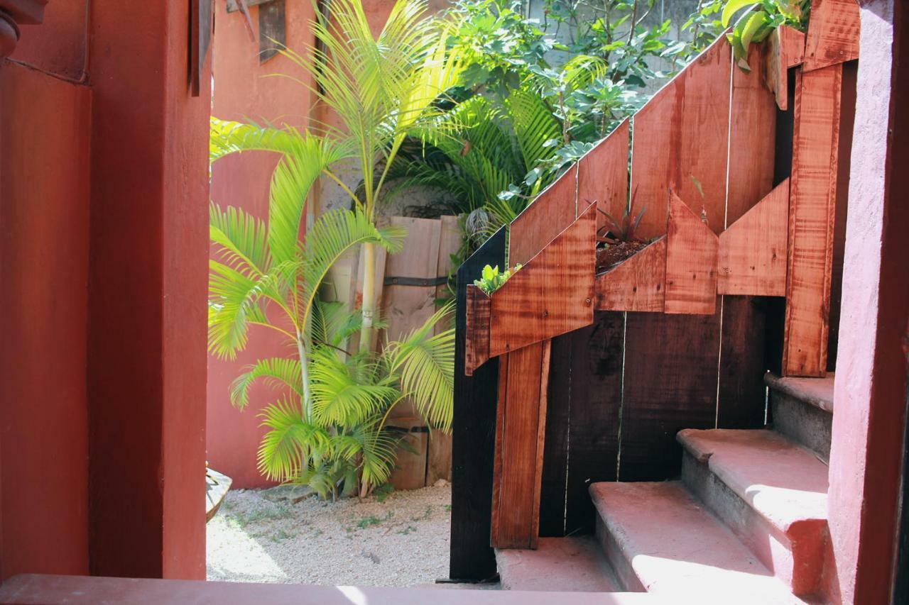 Black Jaguar Hostel 巴卡拉尔 外观 照片