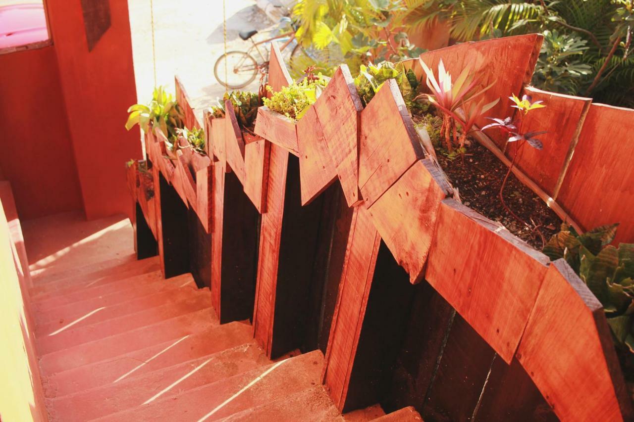 Black Jaguar Hostel 巴卡拉尔 外观 照片