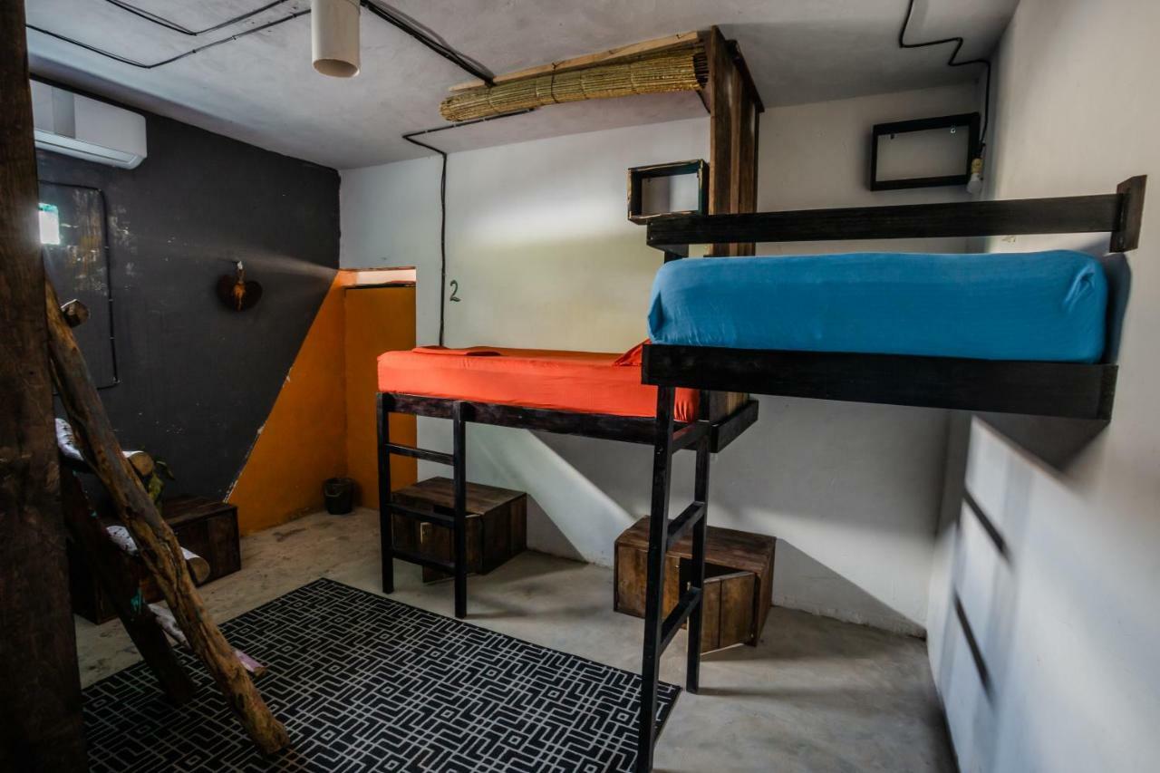 Black Jaguar Hostel 巴卡拉尔 外观 照片