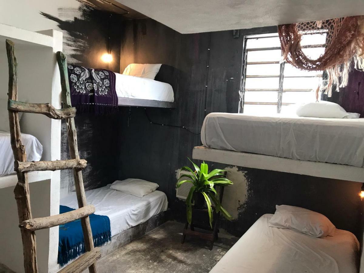 Black Jaguar Hostel 巴卡拉尔 外观 照片