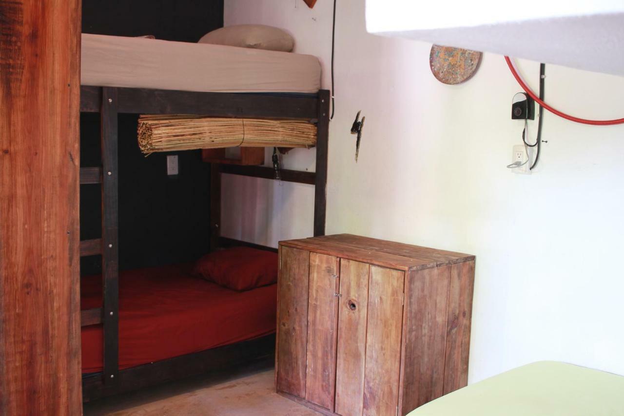 Black Jaguar Hostel 巴卡拉尔 外观 照片